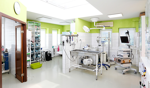 Předoperační sál s diagnostickými přístroji, stomatologickou jednotkou, artroskopickou věží a operačním mikroskopem